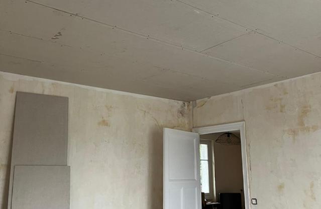 Artisan qualifié pour refaire votre plafond